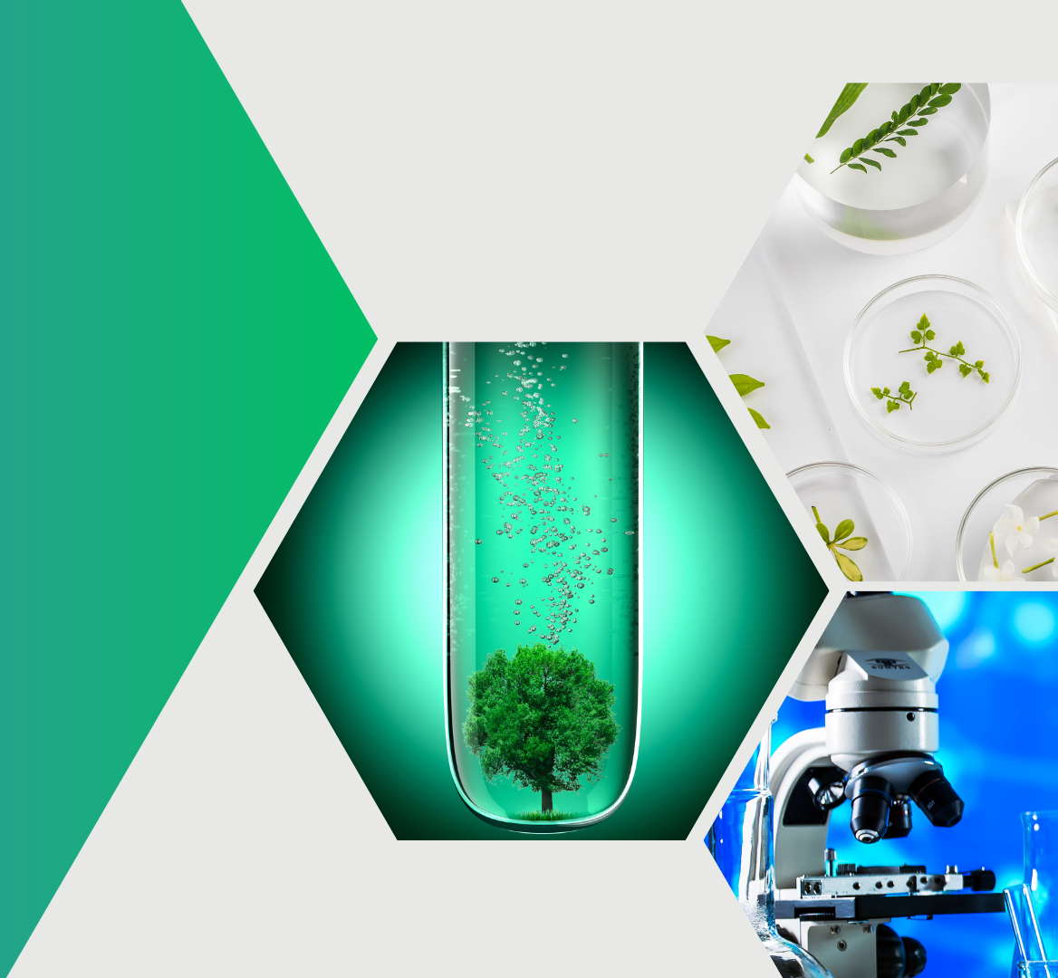 Antibiotika Resistenz Bild